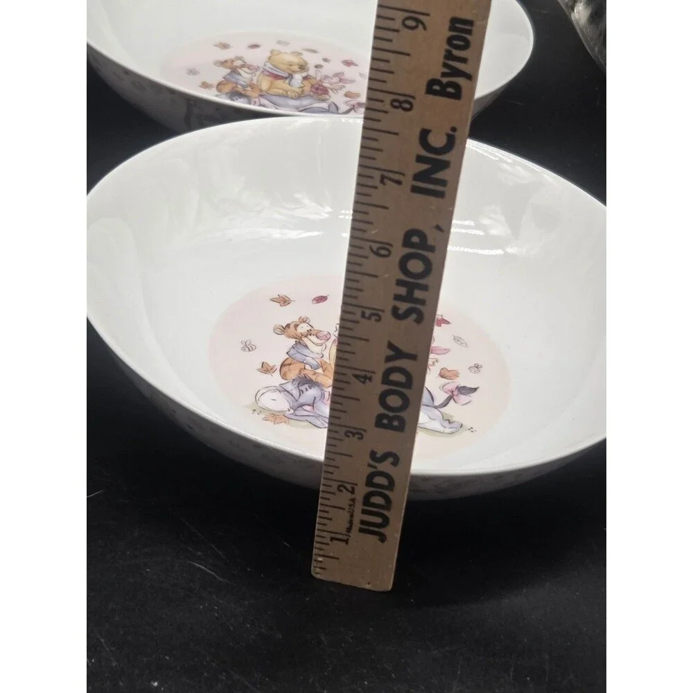 4 Disney Winnie The Pooh Tigger Piglet Eeyore Autumn Ceramic Pasta Dinner Bowl